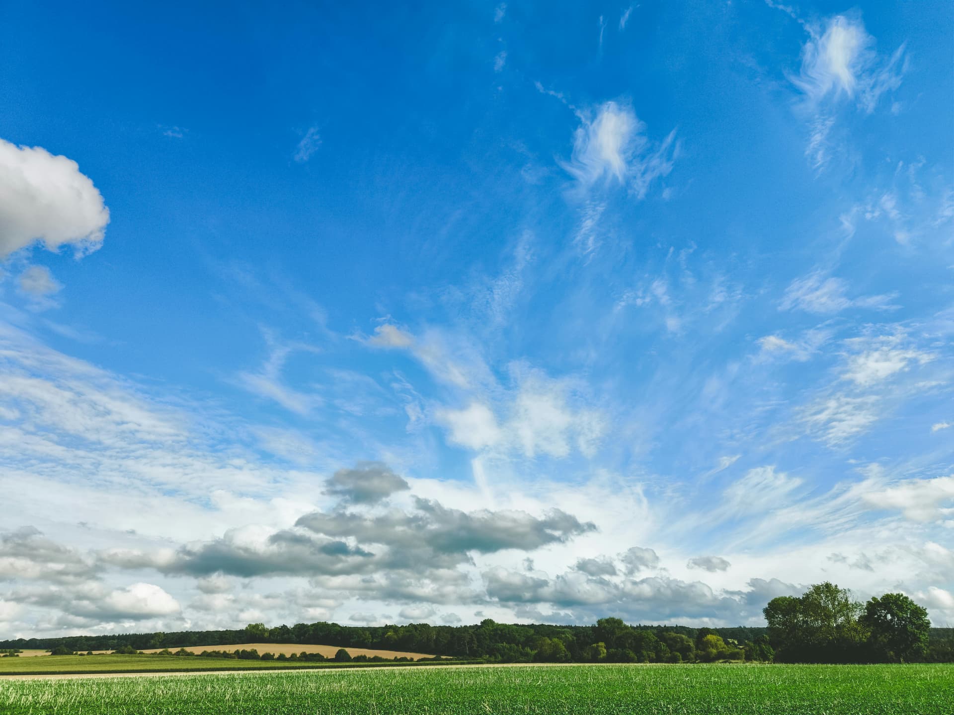 Regional Forum on Climate Resilient AgTech